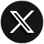 x icon